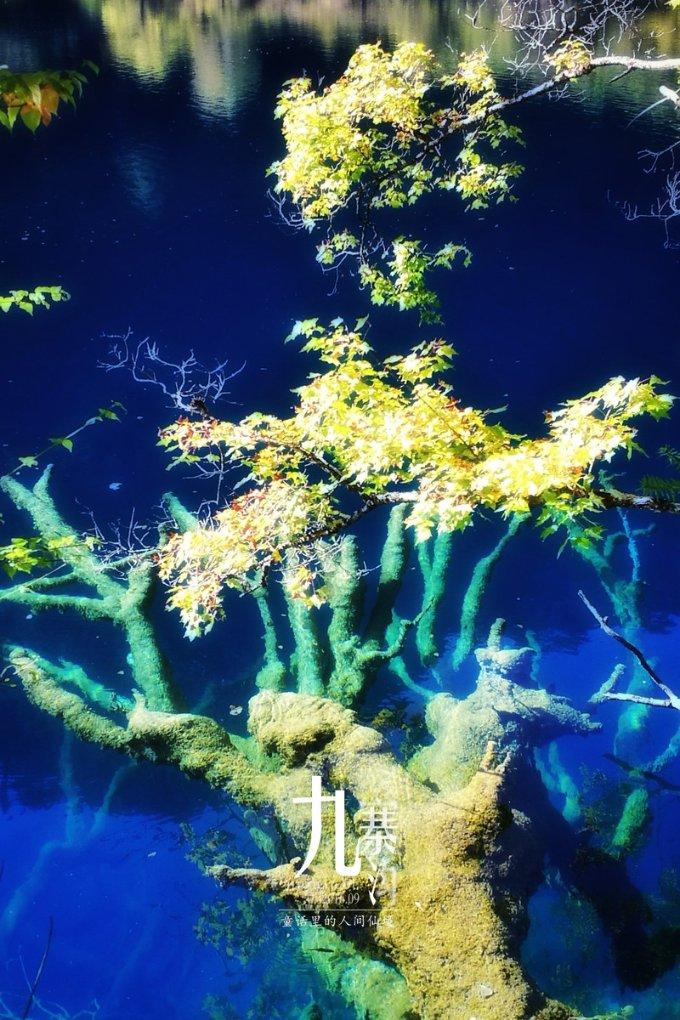 古龙群侠传