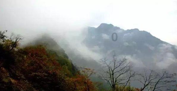 救援受困的萌兔