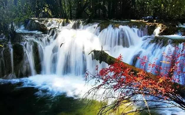 南宁大明山1月21日预计会出现雾凇美景