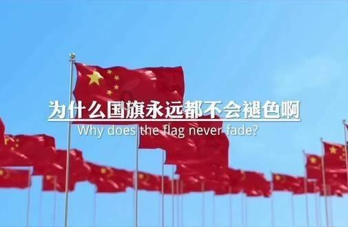 机智问答网页-智能解答你的疑问-