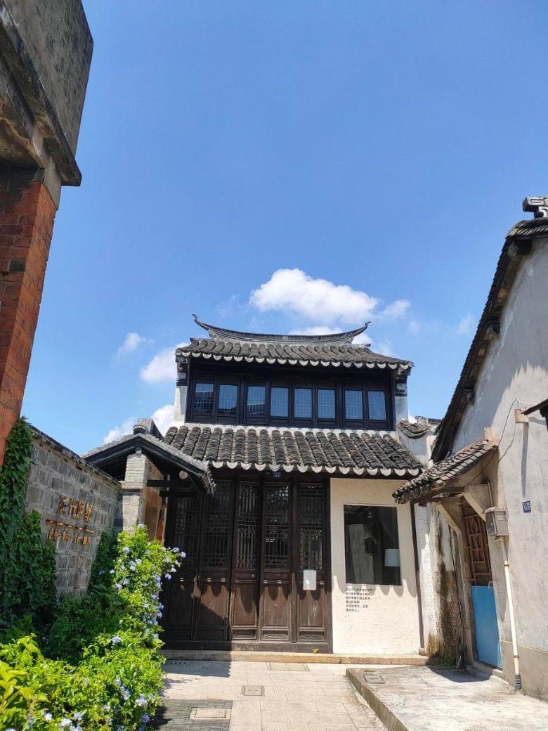 可爱的小考拉