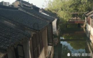 萝卜咋做好吃家常游戏画面